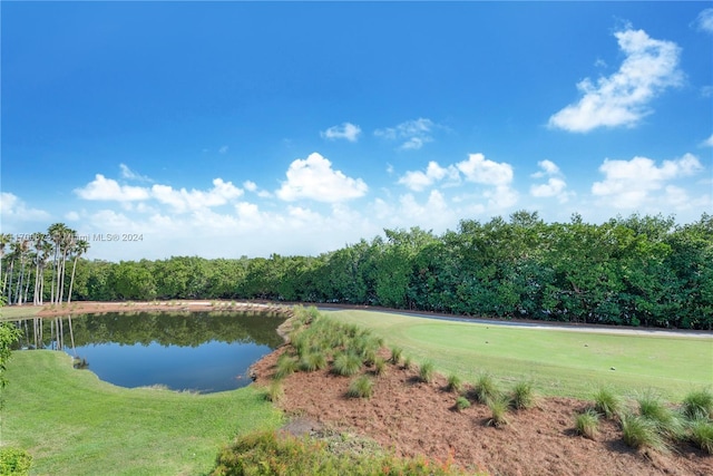 view of water feature