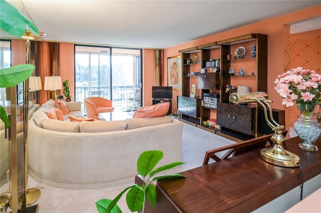 living room with carpet floors and a textured ceiling