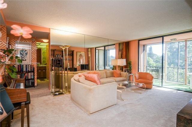 living room featuring carpet floors and a textured ceiling