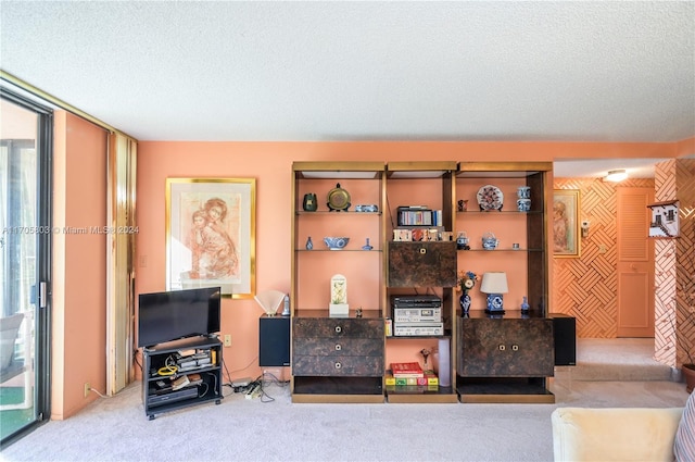 interior space with carpet flooring and a textured ceiling