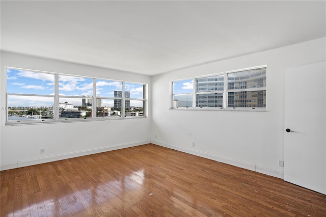 empty room with wood-type flooring