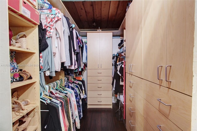 walk in closet featuring dark hardwood / wood-style floors