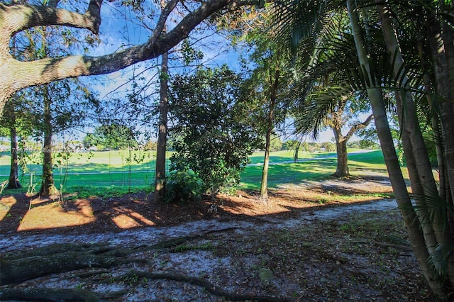 view of community with a lawn