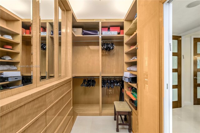 view of walk in closet