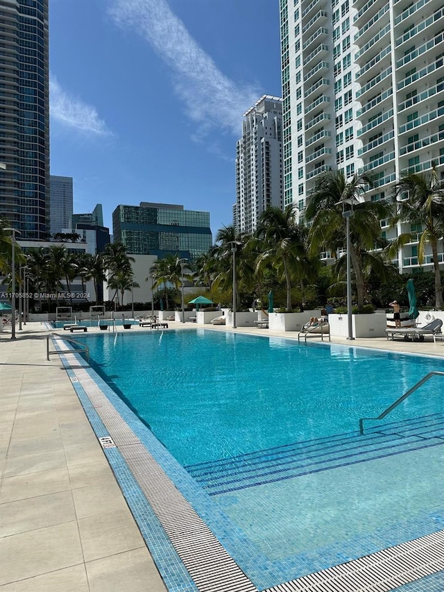 view of pool featuring a patio