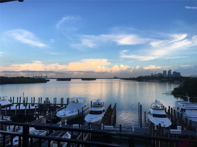 dock area featuring a water view