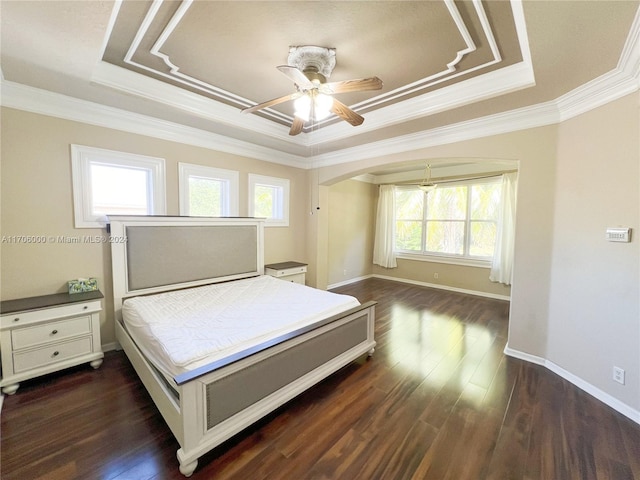 bedroom featuring dark hardwood / wood-style flooring, a tray ceiling, and multiple windows