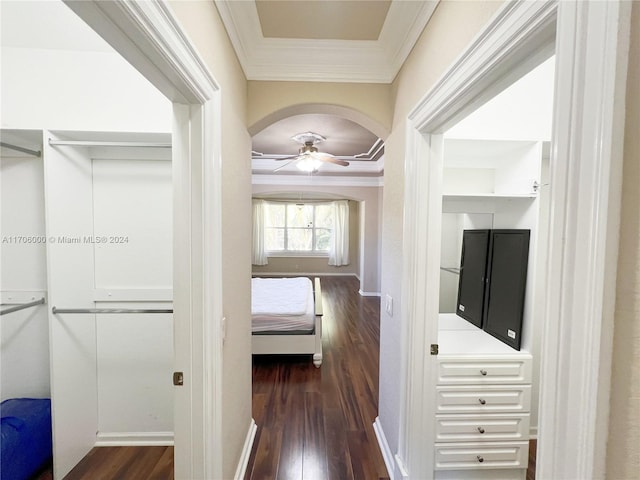 hallway featuring crown molding and dark wood-type flooring