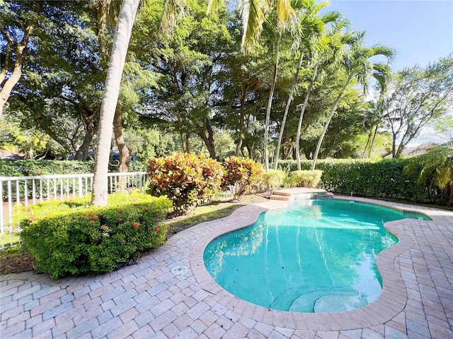 view of swimming pool with a patio area