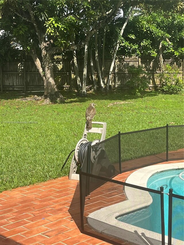 view of swimming pool featuring a lawn