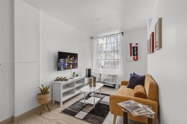 living room featuring light hardwood / wood-style floors