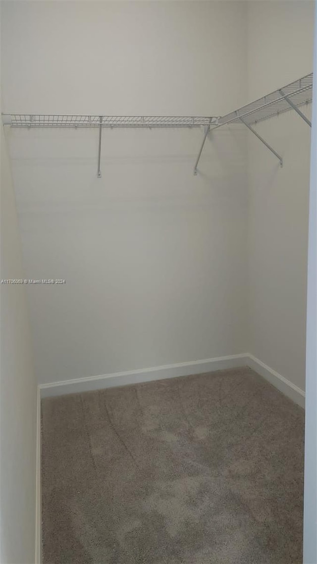 walk in closet with carpet