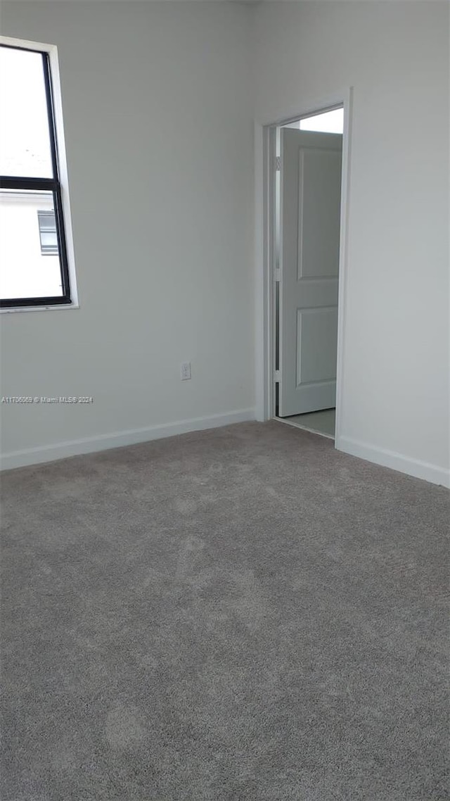 unfurnished room featuring carpet