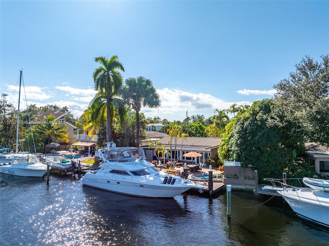 dock area with a water view