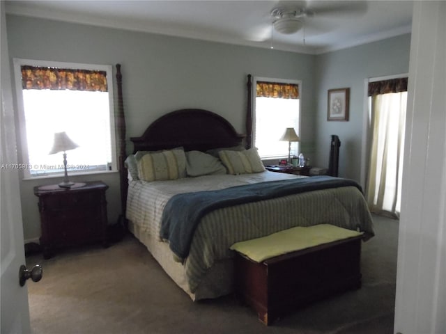 carpeted bedroom with ceiling fan, crown molding, and multiple windows