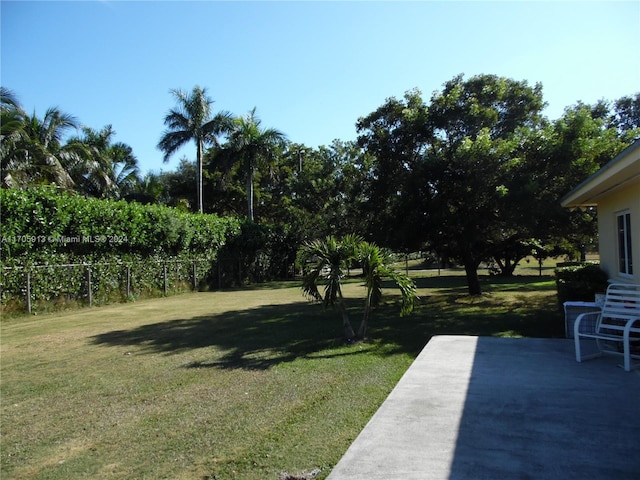 view of yard featuring a patio