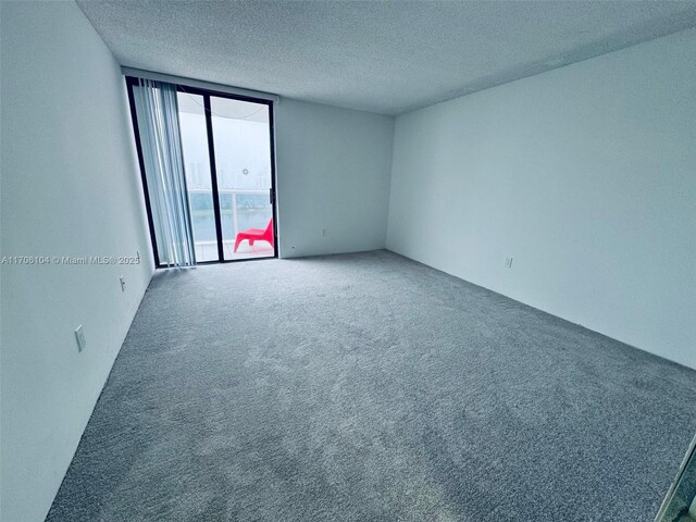 empty room featuring expansive windows, carpet flooring, and a textured ceiling