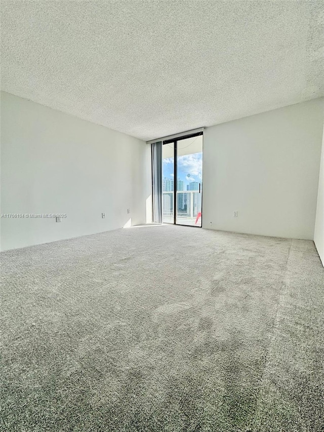 carpeted empty room with expansive windows and a textured ceiling