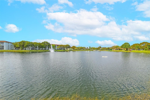 view of water feature