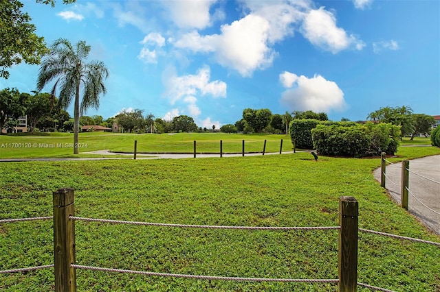 view of yard