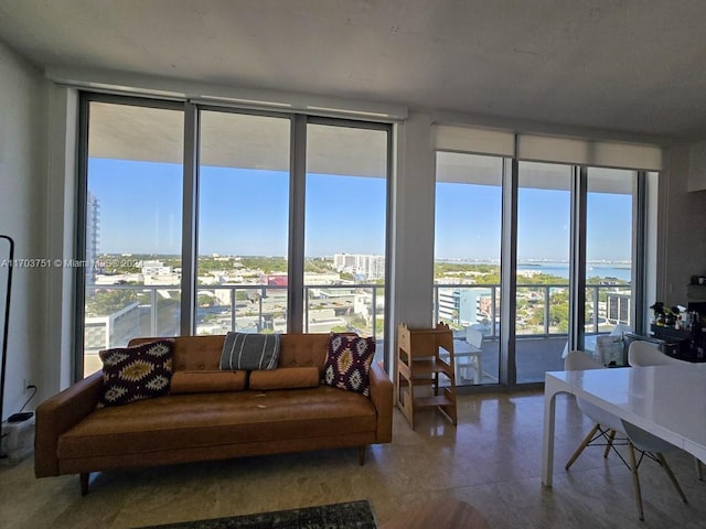 living room with a wealth of natural light and a wall of windows