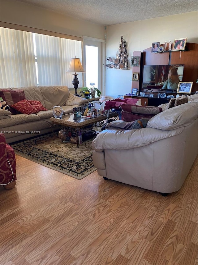 living room with hardwood / wood-style floors and a textured ceiling