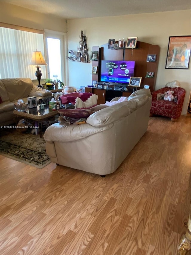 living room with wood-type flooring