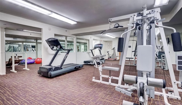 exercise room featuring carpet