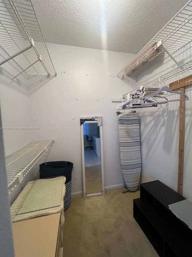 spacious closet featuring light colored carpet