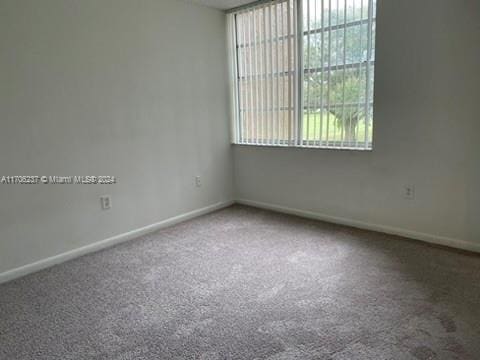 spare room with carpet floors