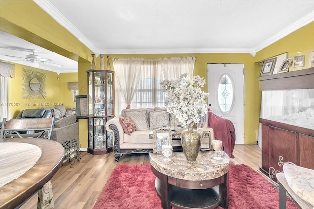 living room featuring a wealth of natural light, ceiling fan, ornamental molding, and light wood-type flooring