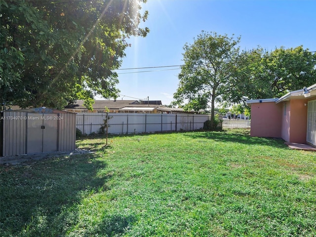 view of yard with a storage shed