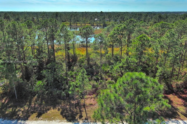 Listing photo 3 for 1136 Plantation Rd, Lehigh Acres FL 33974