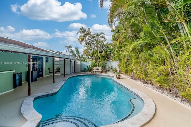 view of swimming pool featuring a patio