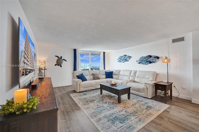 living room featuring hardwood / wood-style floors and a textured ceiling