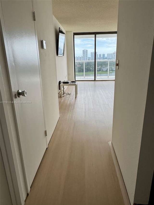 corridor featuring expansive windows and light hardwood / wood-style flooring