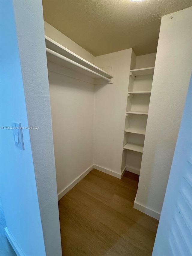 spacious closet with hardwood / wood-style flooring