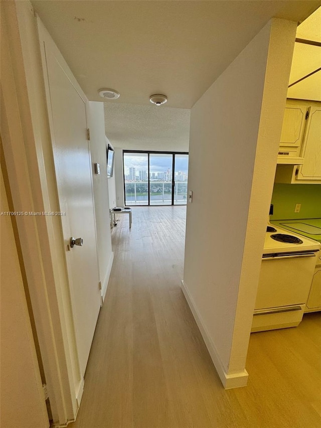 hall with light hardwood / wood-style flooring and floor to ceiling windows