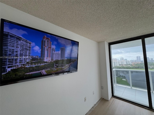 empty room featuring a textured ceiling and light hardwood / wood-style flooring