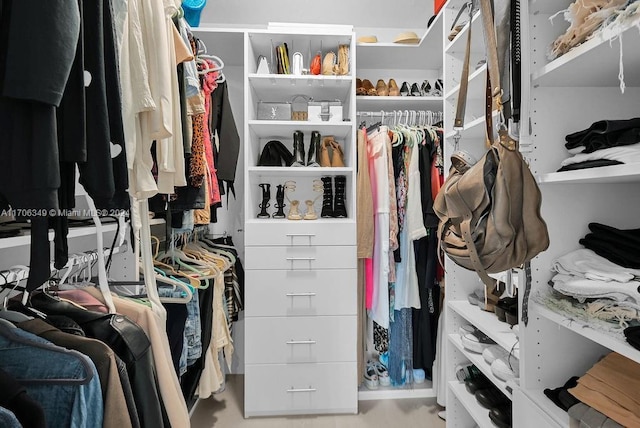 view of walk in closet