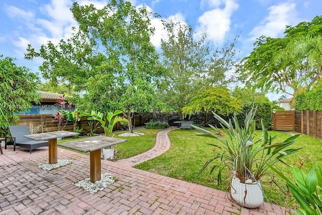 view of yard with a patio area