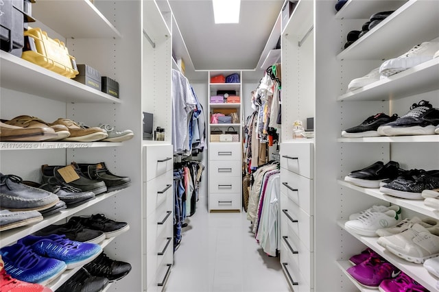 spacious closet with a skylight