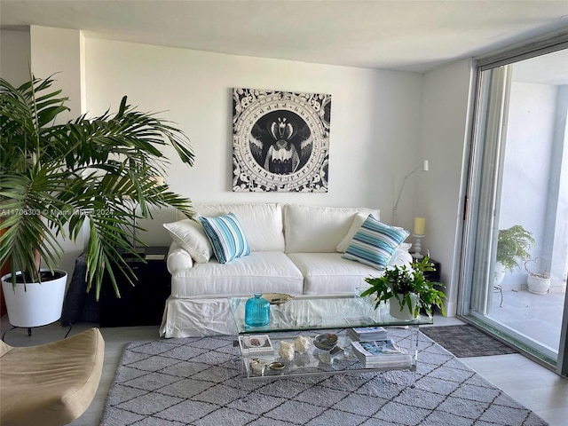 living room with hardwood / wood-style flooring