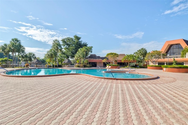 view of swimming pool featuring a patio area