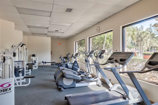 exercise room featuring a paneled ceiling and carpet floors