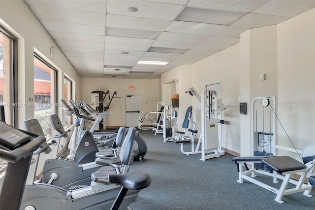 gym with carpet flooring, a drop ceiling, and a healthy amount of sunlight