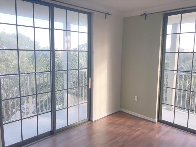 entryway with a wealth of natural light and hardwood / wood-style flooring