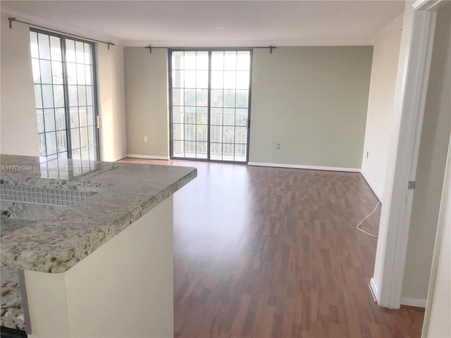 interior space with dark hardwood / wood-style floors and a healthy amount of sunlight