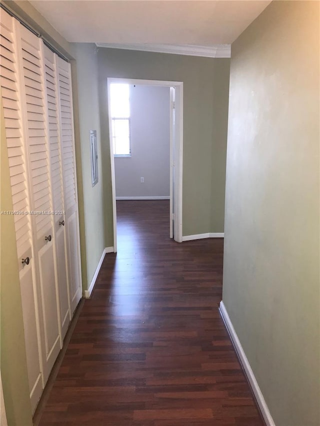 hallway featuring dark hardwood / wood-style floors and crown molding