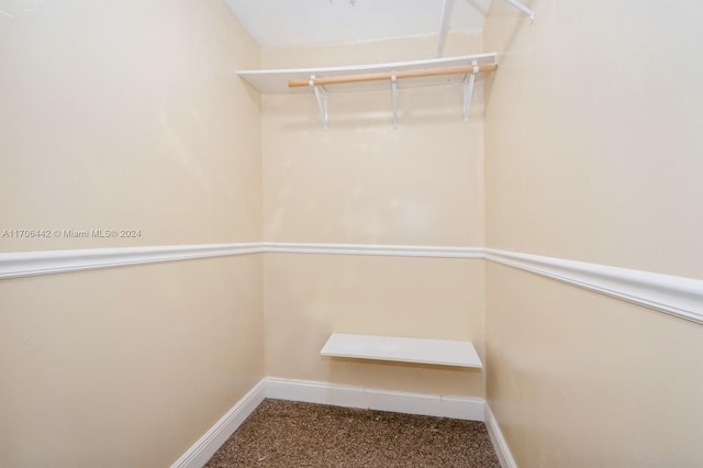 spacious closet featuring carpet floors